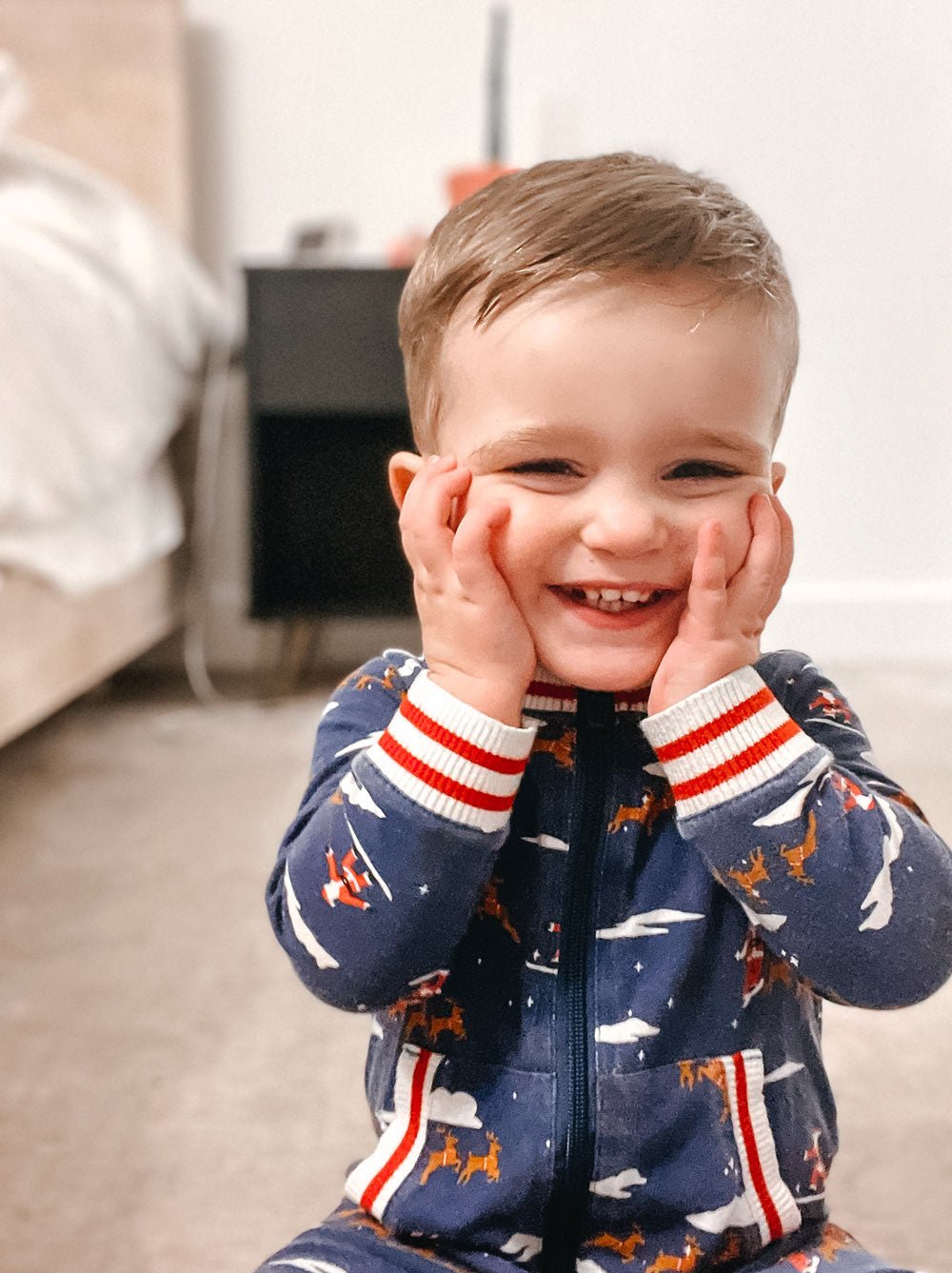 Santa Sleighs Pajama (Dog & Kids) - LURE Wellness