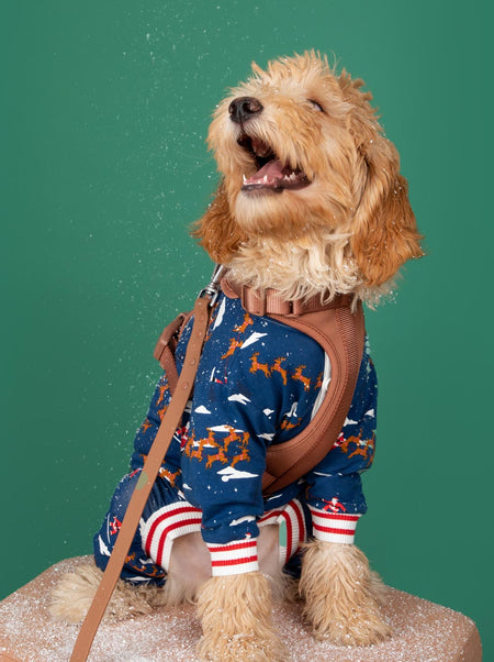 Santa Sleighs Pajama (Dog & Kids) - LURE Wellness
