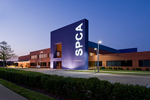 SPCA of Texas