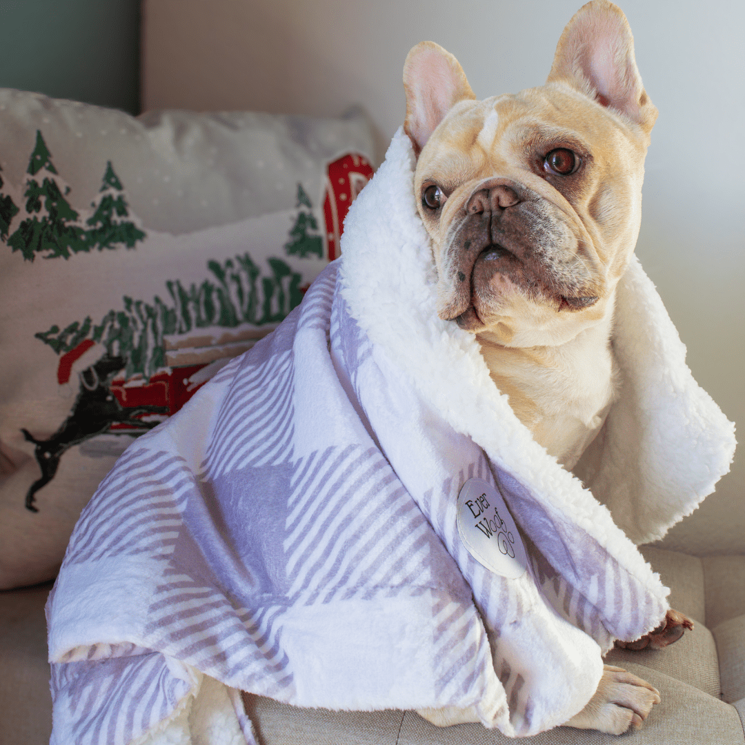 Sugar Plum Calming Dog Blanket - LURE Wellness