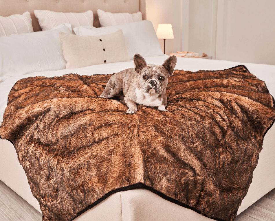 PupProtector™ Summer Waterproof Throw Blanket - Sable Tan