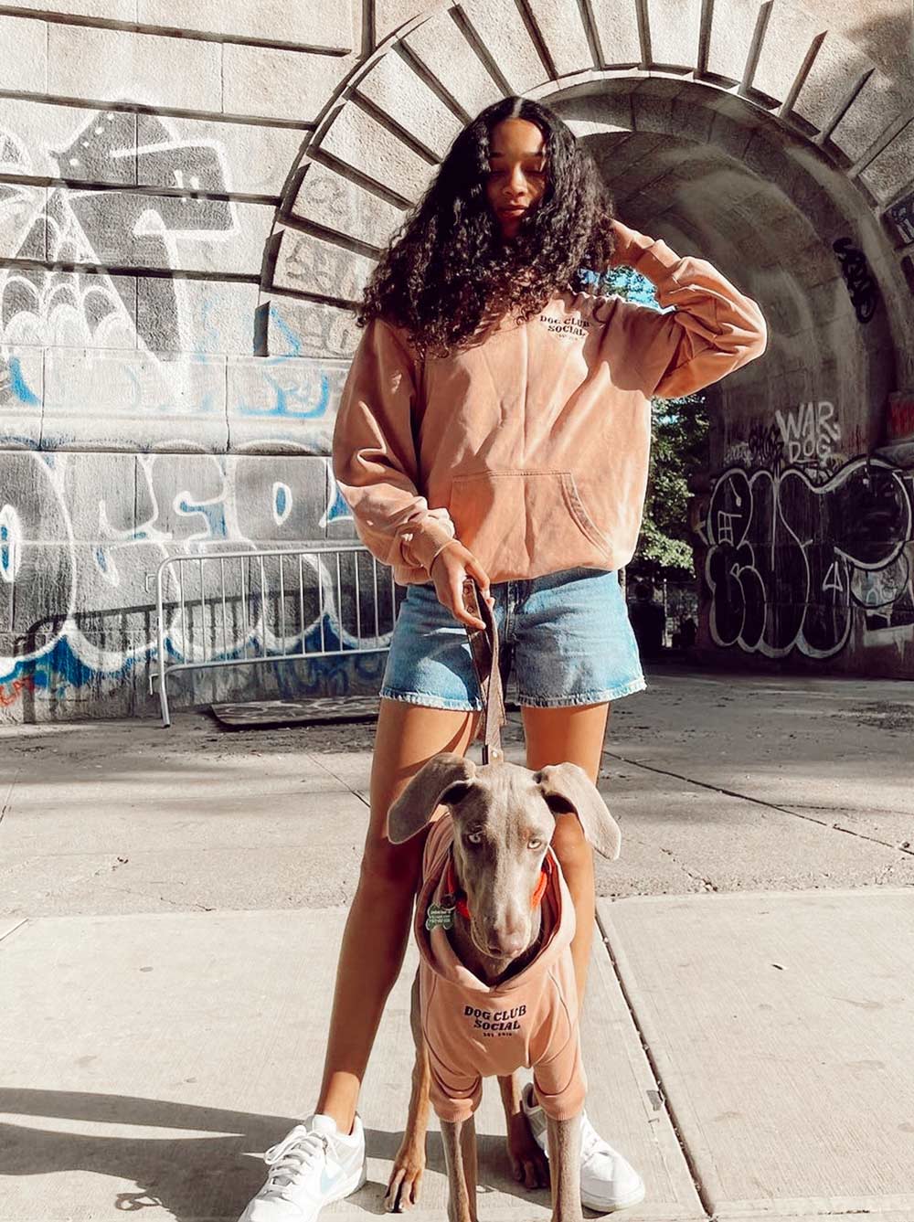 Terry Hoodie (Dog) | Lightweight French Terry Pup Sweatshirt - LURE Wellness