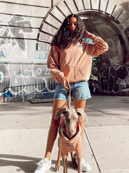 Terry Hoodie (Dog) | Lightweight French Terry Pup Sweatshirt - LURE Wellness