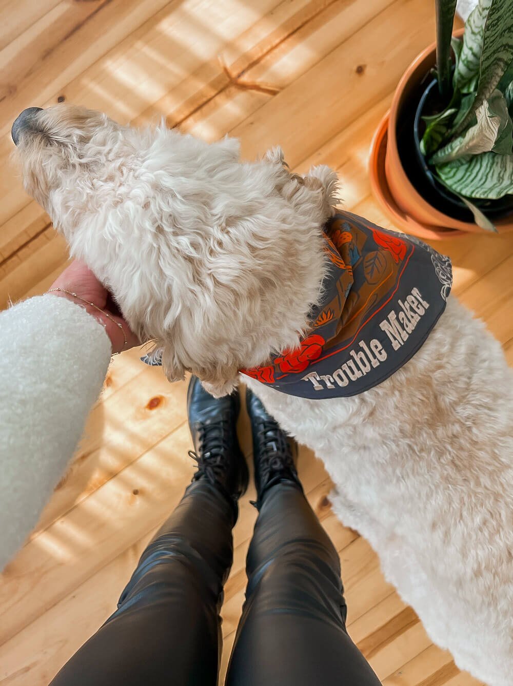 Trouble Maker Bandana - LURE Wellness