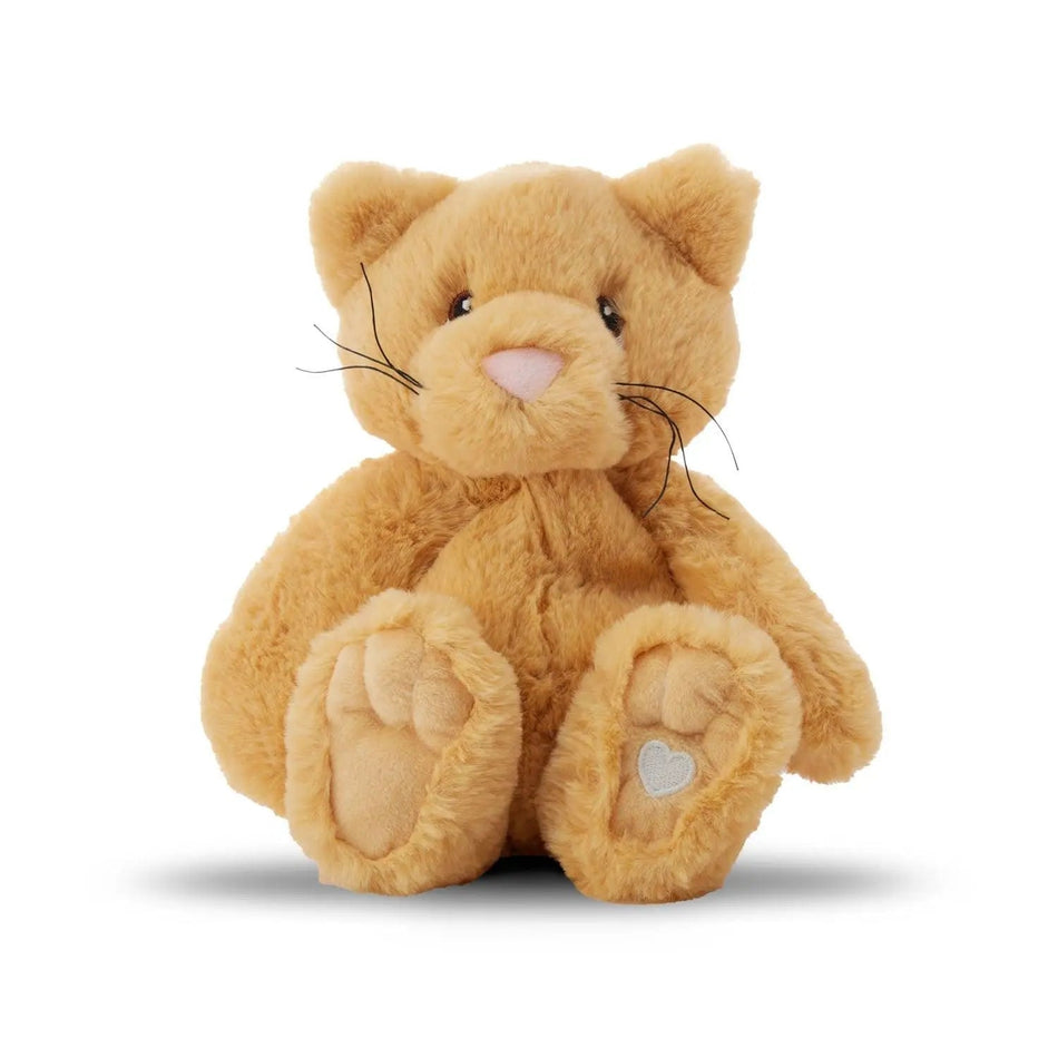 Xander Cat – Lavender Comfort Stuffed Animal - LURE Wellness