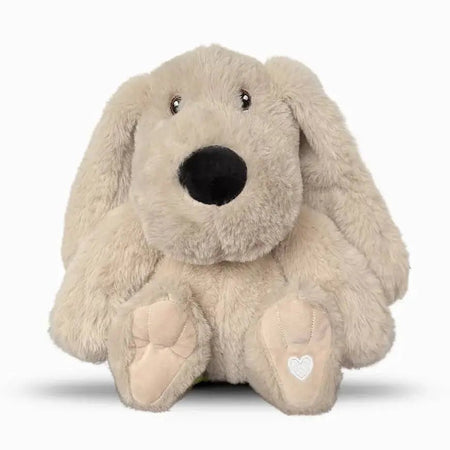 Xander Dog – Lavender Comfort Stuffed Animal - LURE Wellness