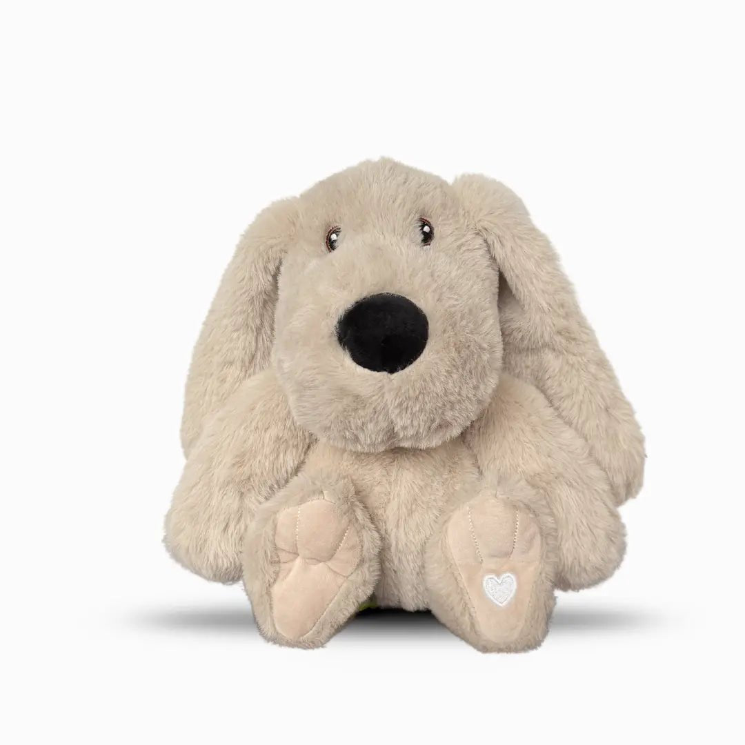 Xander Dog – Lavender Comfort Stuffed Animal - LURE Wellness